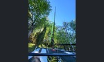 Hobie Cat FX1-kuva-8